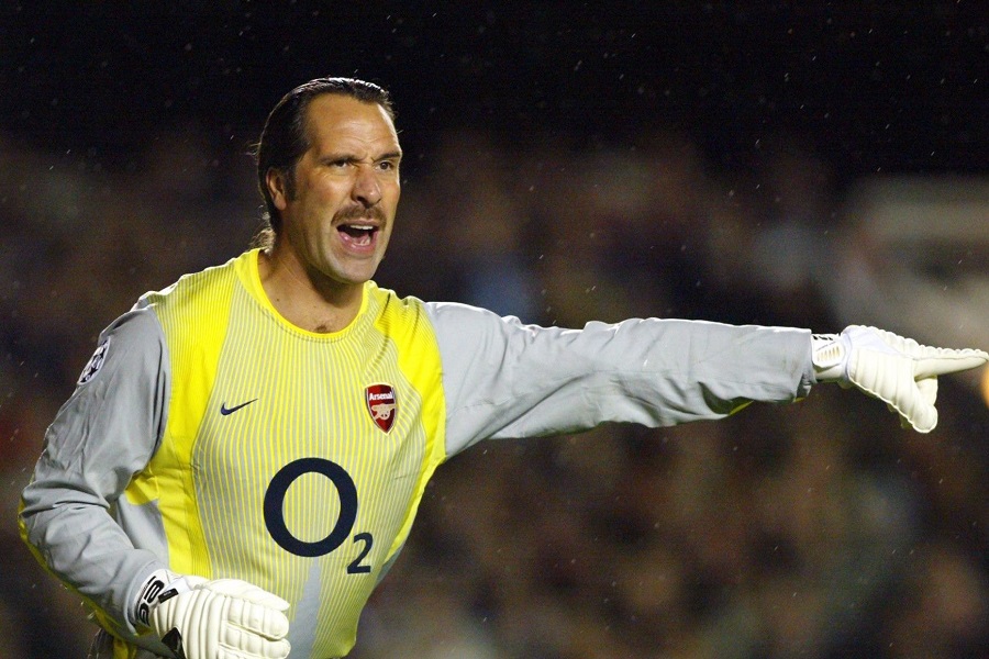 David Seaman 